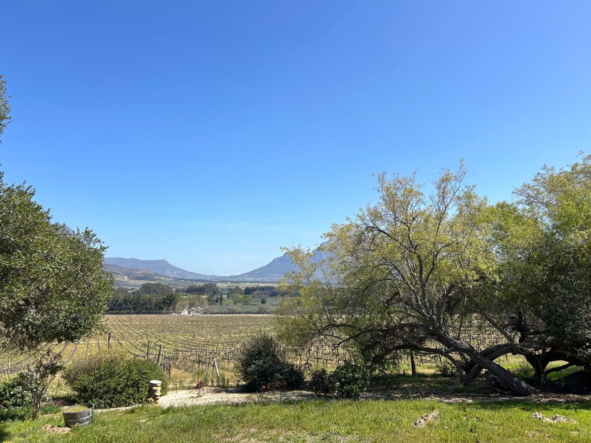 Topiary Wine Estate & Cottages Franschhoek Exterior photo